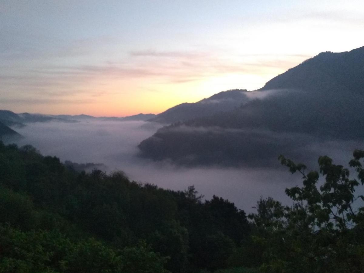 Vis 101 Bed & Breakfast Vista  Bagian luar foto
