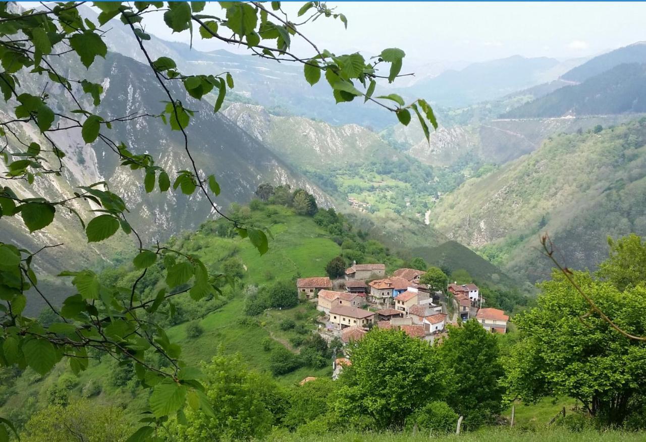 Vis 101 Bed & Breakfast Vista  Bagian luar foto